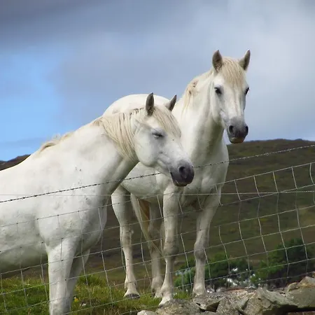 Hillside 4* クリフデン