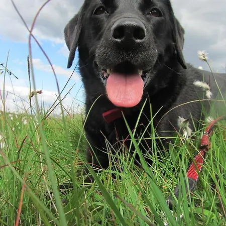 Bed & Breakfast Hillside 4*