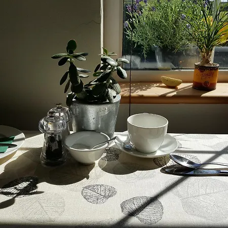 ベッド・アンド・ブレックファスト Hillside クリフデン