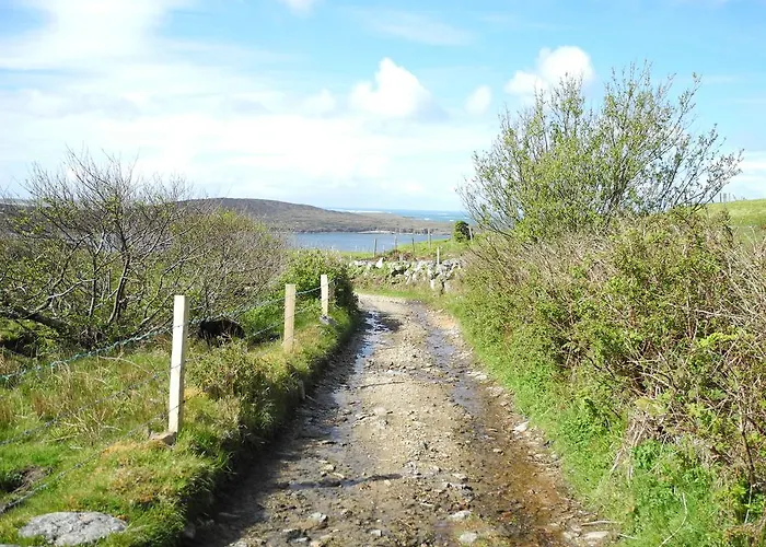 Hillside Bed & Breakfast Clifden
